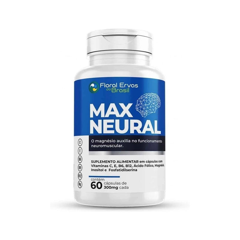 Neural Cápsulas Memorizar
